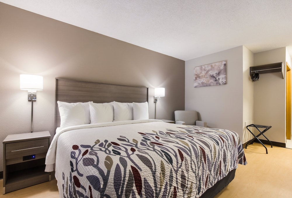 Deluxe Room, 1 King Bed, Accessible, Non Smoking - Photo 7