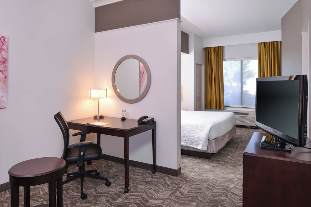 Suite, 1 King Bed with Sofa bed - Photo 1