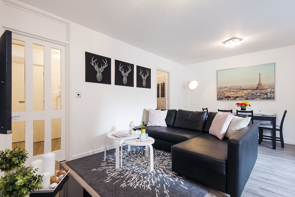 Classic Apartment, 1 King Bed with Sofa bed, City View photo 2