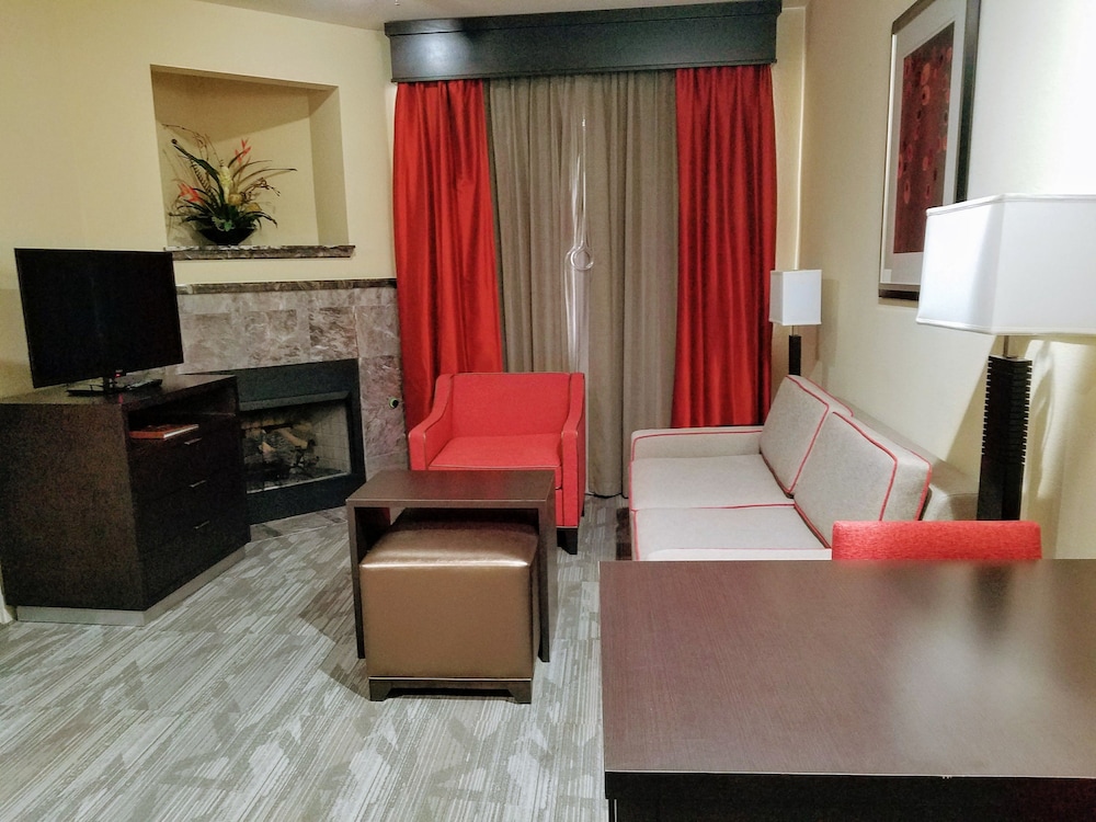 Suite, 1 King Bed, Accessible, Non Smoking (Roll-in shower) - Photo 13