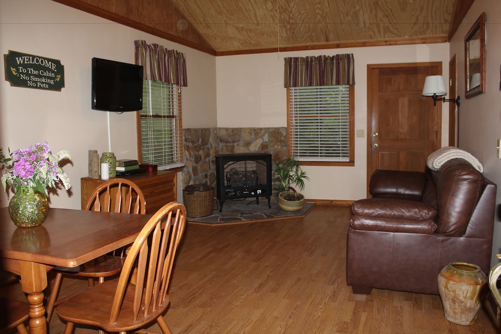 Family Cabin, 1 Bedroom, Kitchenette, Hill View photo 1