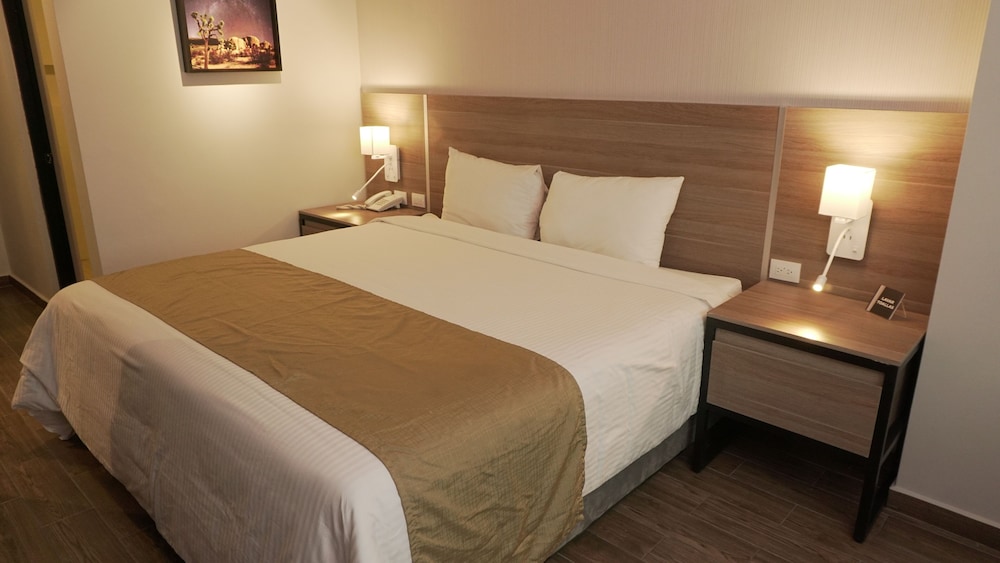 Comfort Single Room
