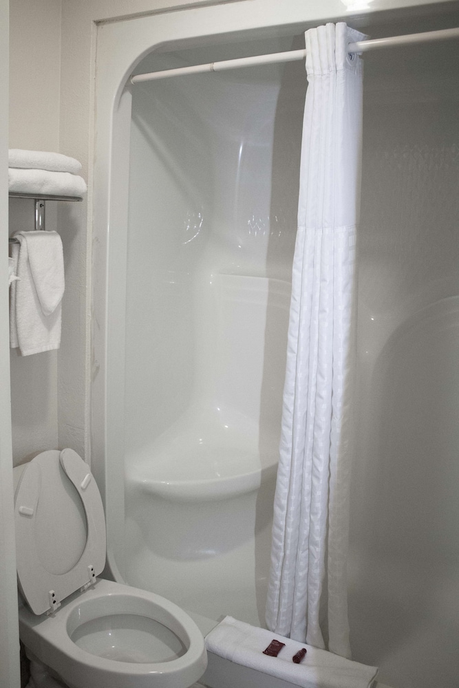 Suite, 2 Queen Beds, Non Smoking, Refrigerator & Microwave (with Sofabed) - Photo 3