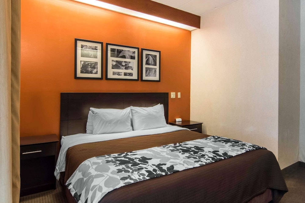 Room, 1 King Bed, Accessible, Non Smoking - Photo 1