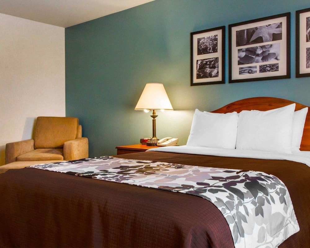 Room, 1 Queen Bed, Accessible, Non Smoking photo 2