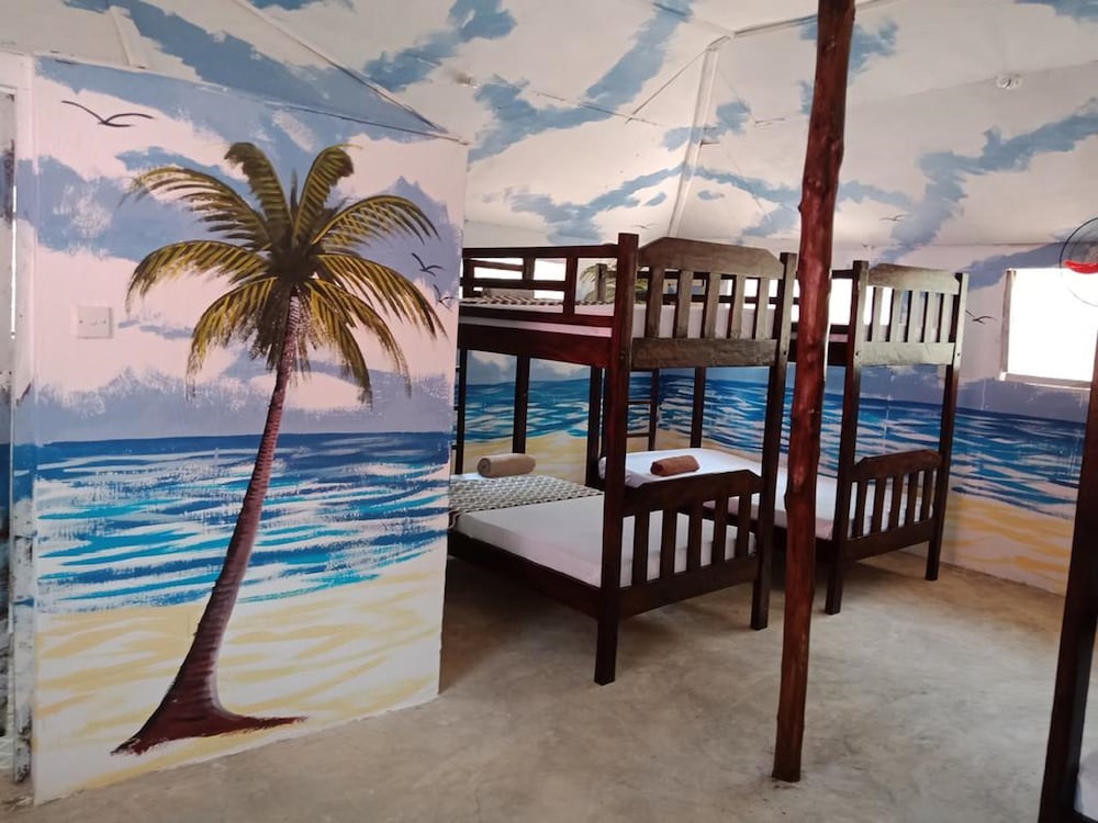 Shared Dormitory photo 2