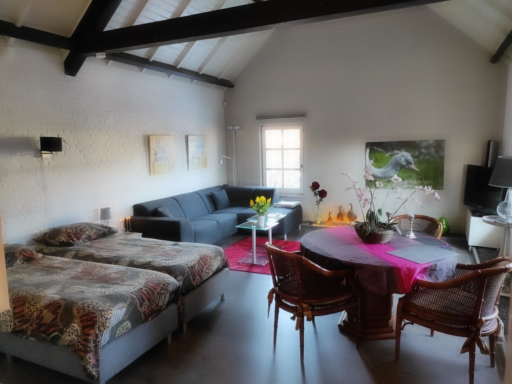 Room, 1 Bedroom, Smoking, Terrace photo 3