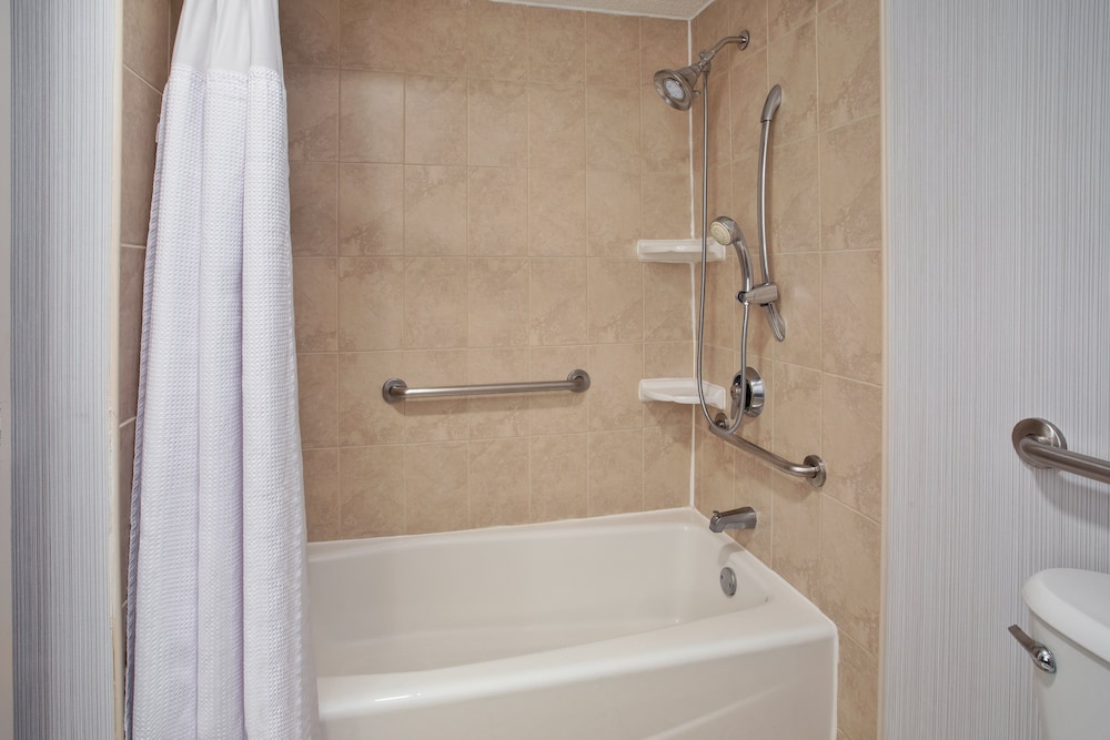 Standard Room, 1 King Bed, Accessible (Mobility, Accessible Tub) photo 3