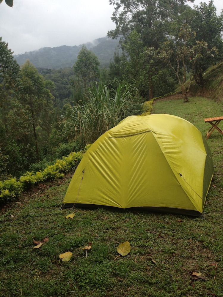 Basic Tent photo 1