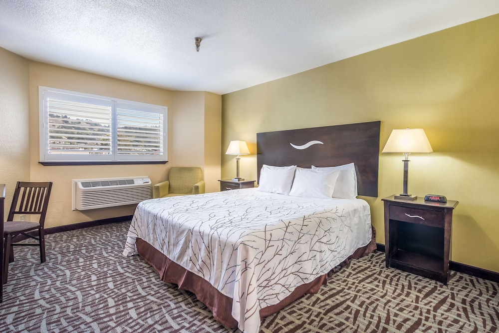 Economy Room, 1 King Bed, Non Smoking photo 1
