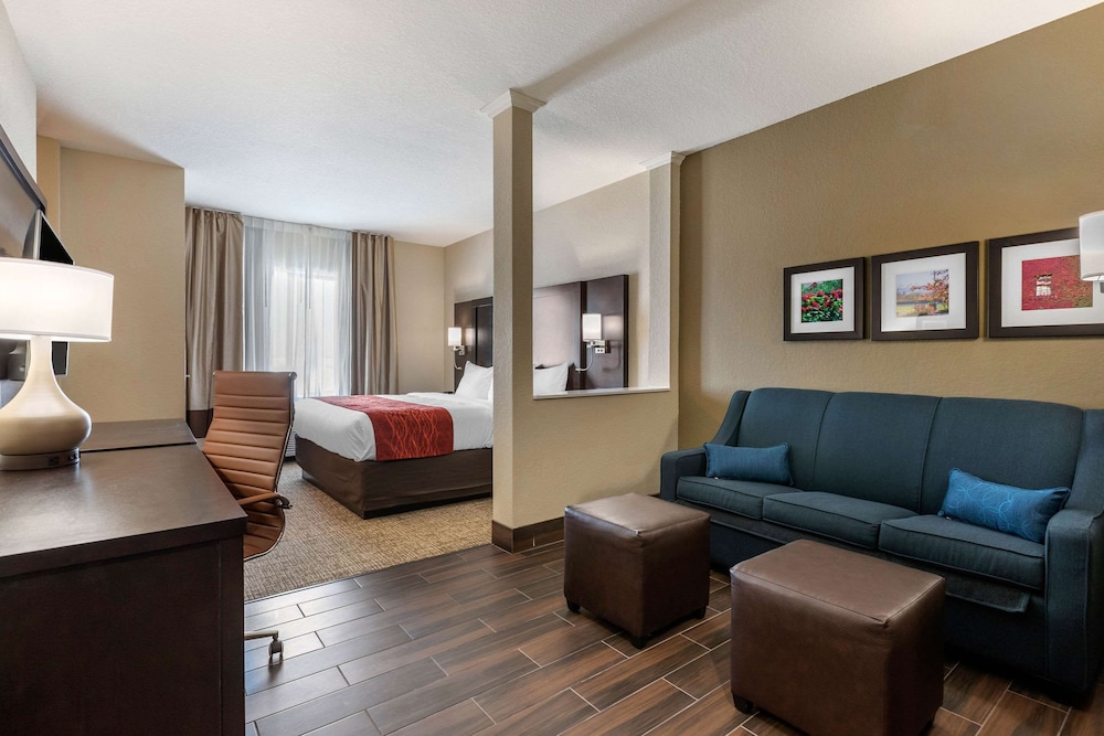 Suite, 1 King Bed with Sofa bed, Non Smoking