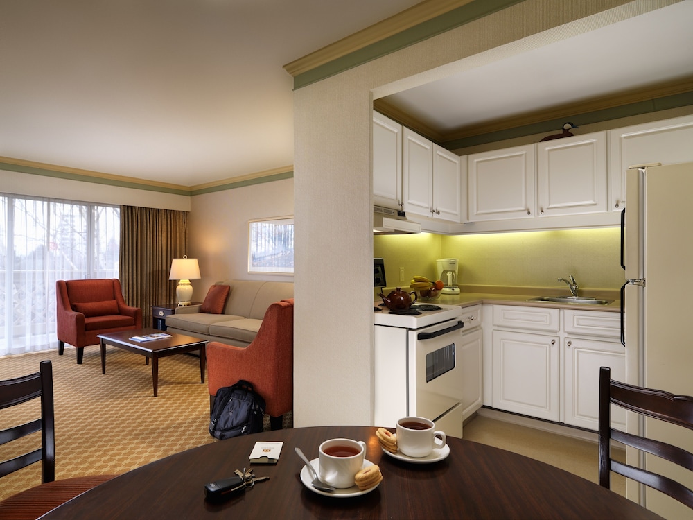 Suite, 1 Bedroom - Photo 6