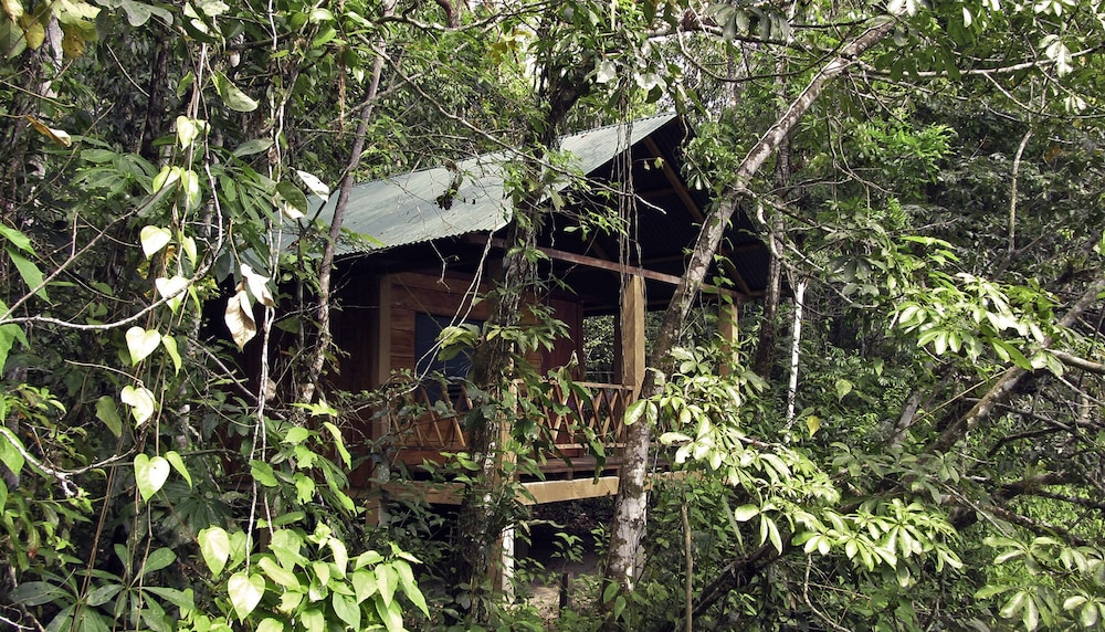 Basic Cabin, River View photo 3