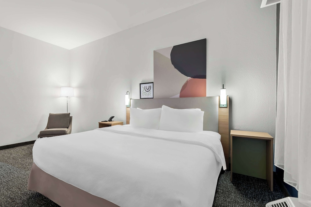 Room, 1 King Bed, Accessible (Mobility & Hearing, Roll-in Shower) - Photo 2