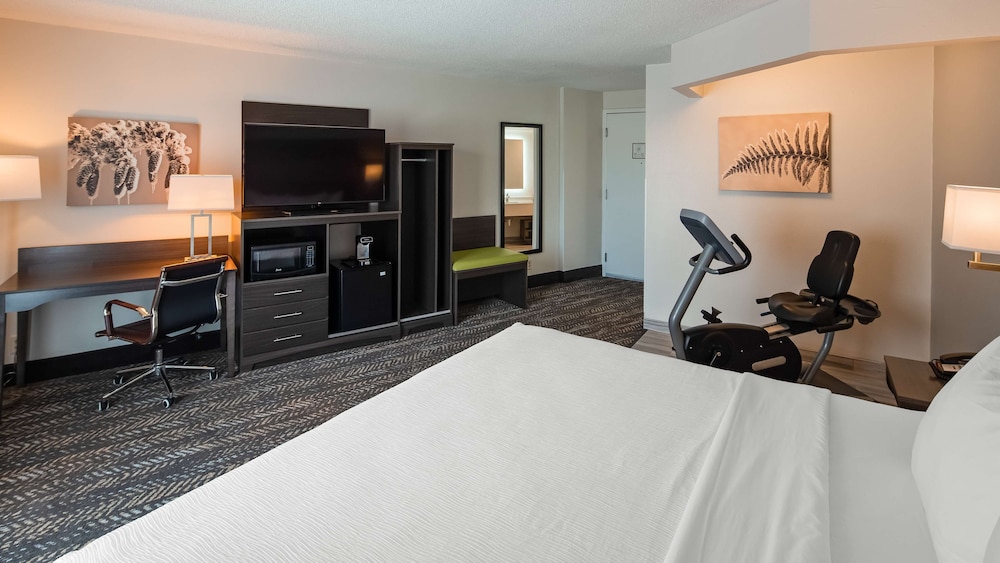 Standard Room, 1 King Bed, Non Smoking, Refrigerator & Microwave (Walk-in Shower) photo 2