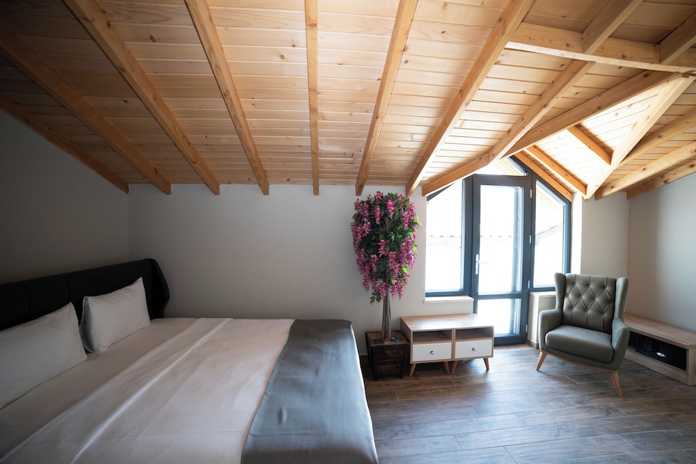Suite - Photo 1