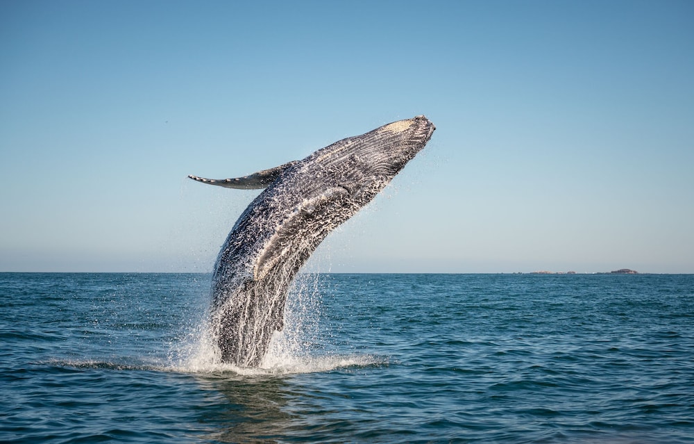 Panoramic Condo photo 2