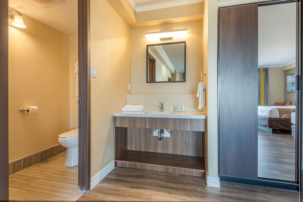 Room, Multiple Beds, Non Smoking - Photo 6