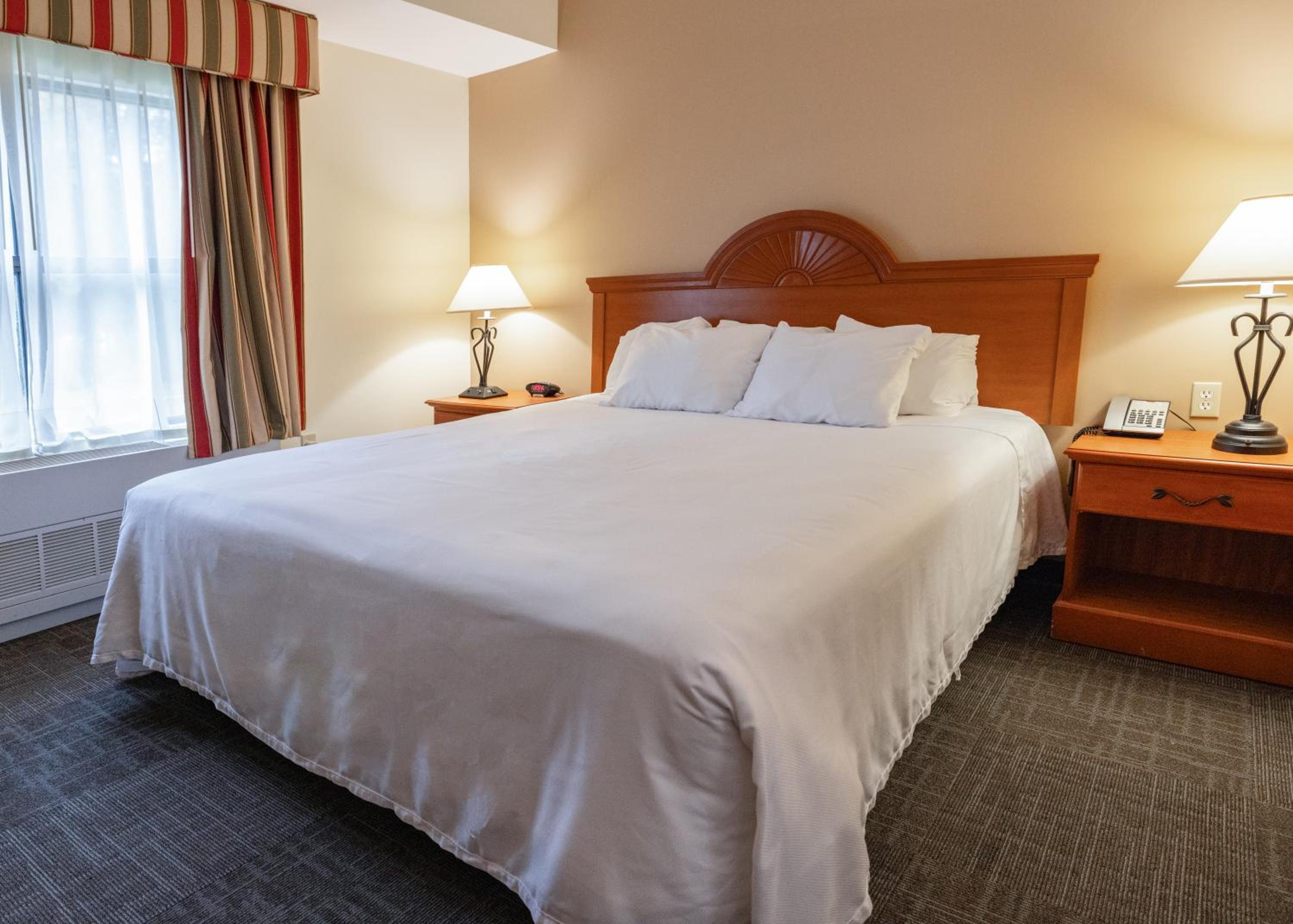 King Room photo 1