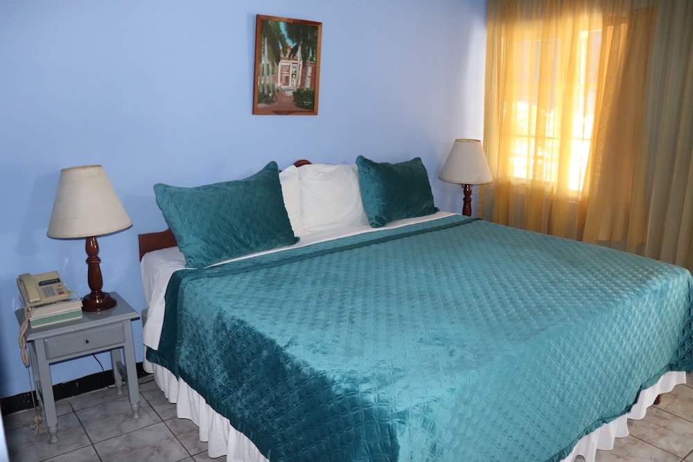 Double Room, 1 King Bed