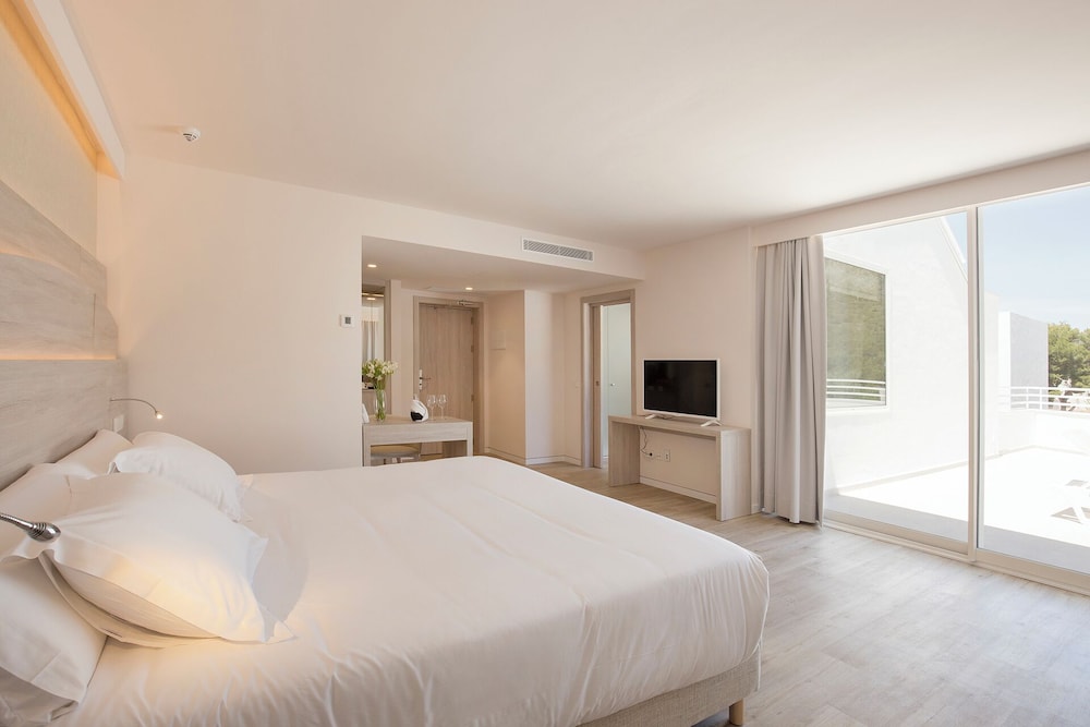 Suite - Photo 8