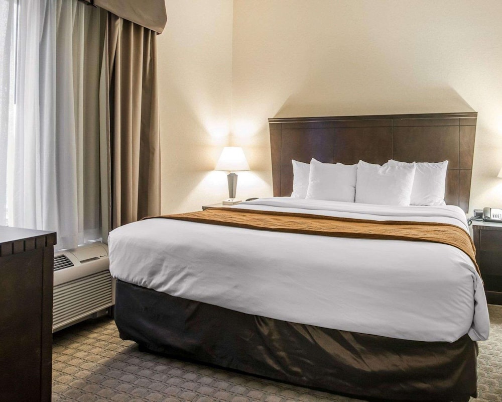 Suite, Non Smoking 1 King Bed Or 1 Double Sofa Bed (Snk 1) photo 2