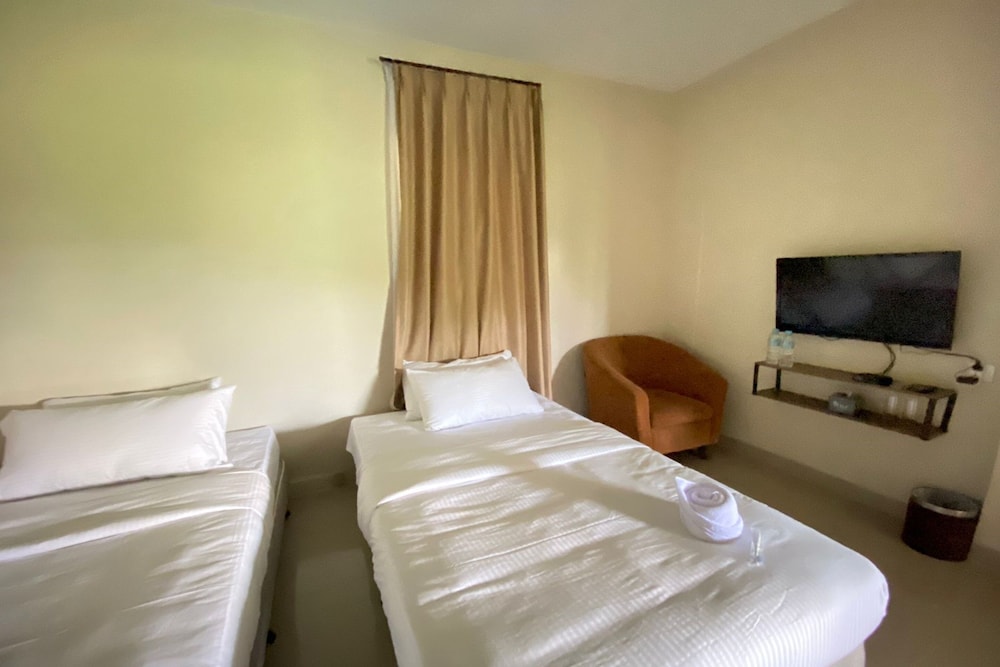 Deluxe Twin Room photo 2