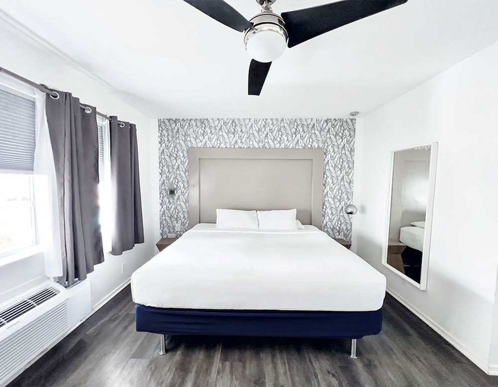 Studio, 1 King Bed, Accessible