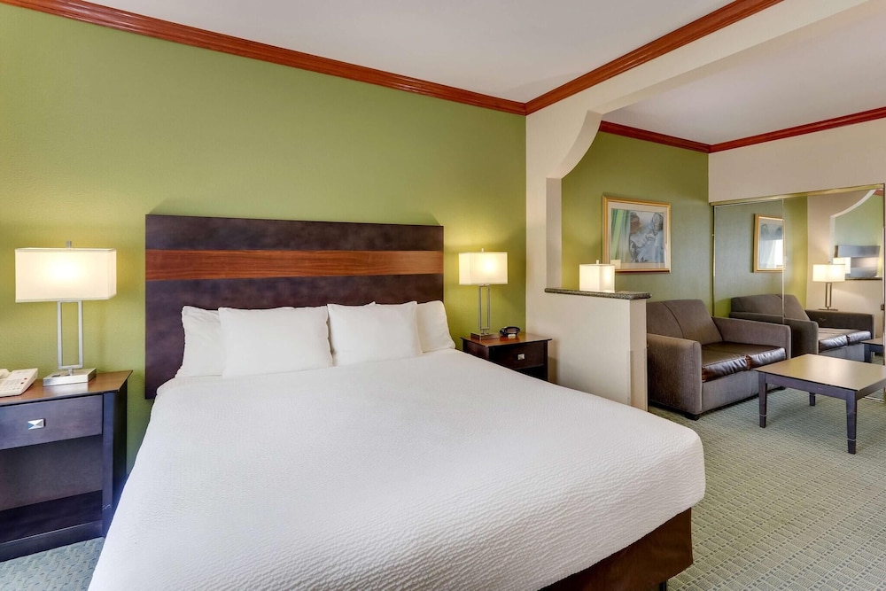 Suite, 1 King Bed with Sofa bed, Non Smoking - Photo 1
