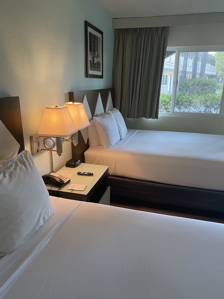 Standard Room, 2 Queen Beds - Photo 11