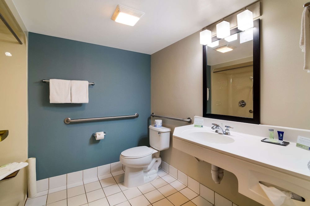 Room, 1 Queen Bed, Accessible, Non Smoking (Roll-In Shower) photo 2