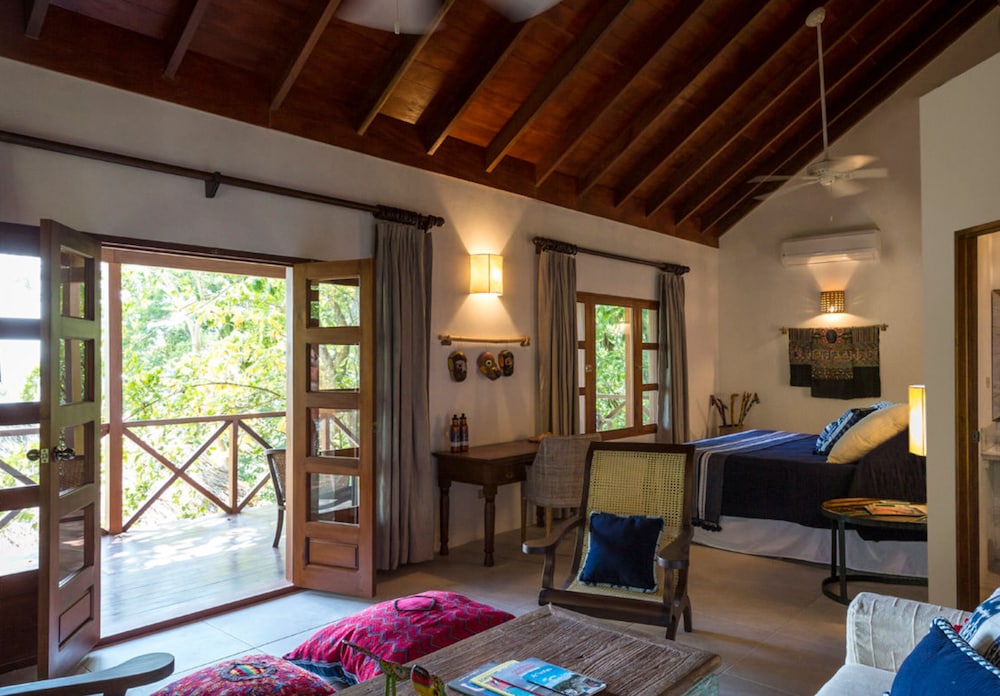 Rainforest Jr. Suite photo 2