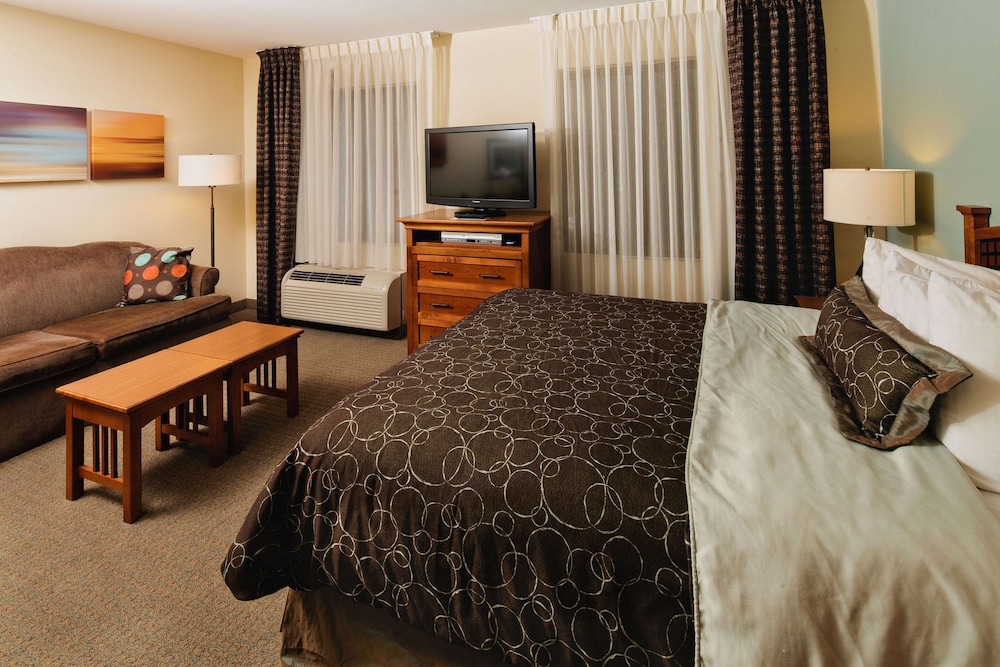 Studio Suite, 1 Queen Bed with Sofa bed (Studio) photo 1