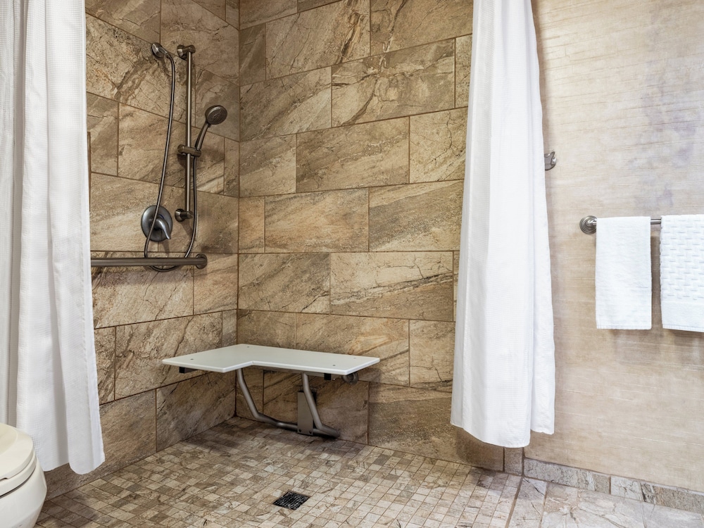 Premium Room, 1 King Bed, Roll-in Shower (Communications, Mobility) - Photo 1