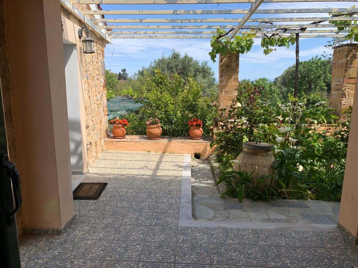 Two-Bedroom Apartment with Garden View photo 2