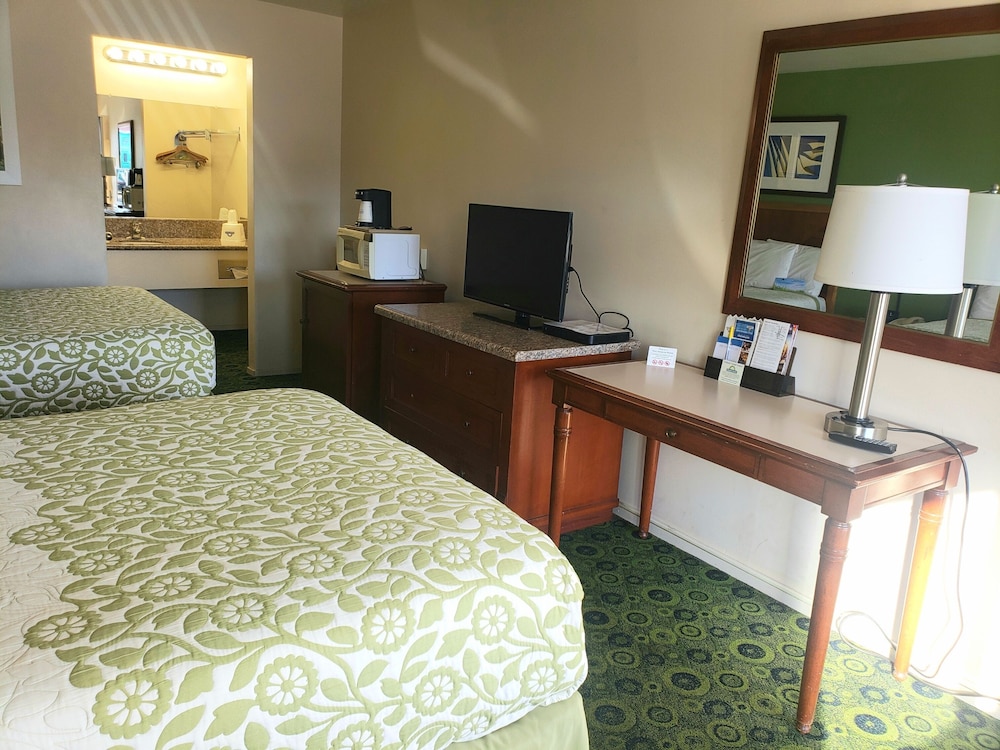 Room, Multiple Beds, Non Smoking - Photo 1
