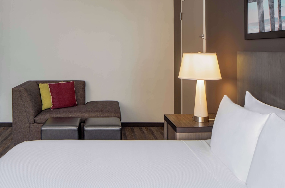 High Floor Studio King Suite photo 3