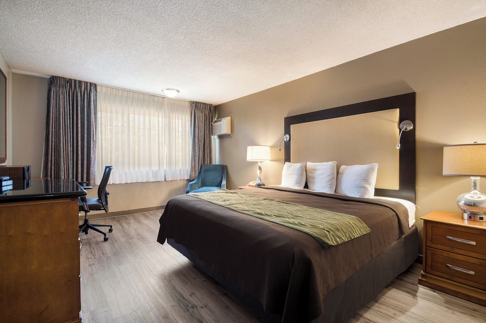 Standard Room, 1 King Bed, Non Smoking