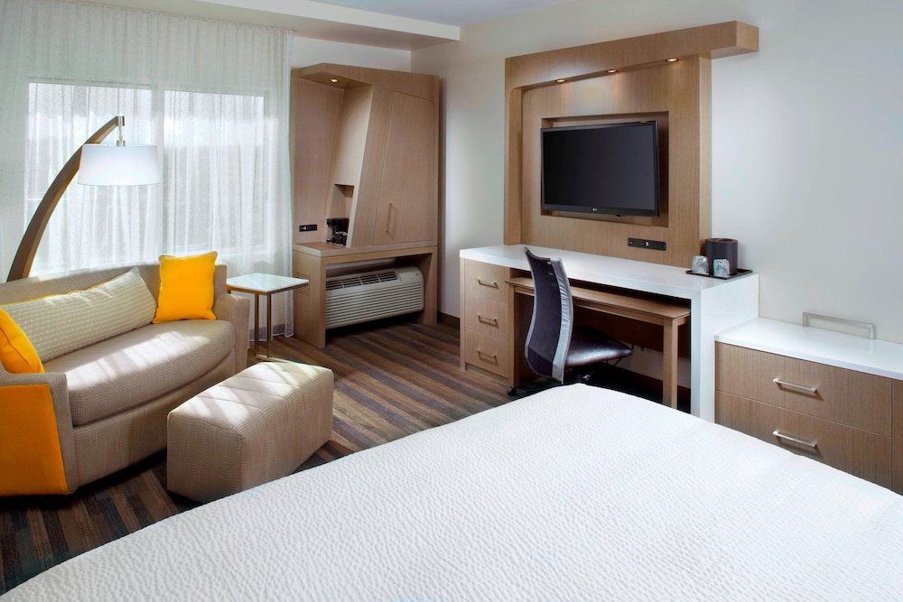 Room, 1 King Bed with Sofa bed (Mobility Accessible, Roll-In Shower)