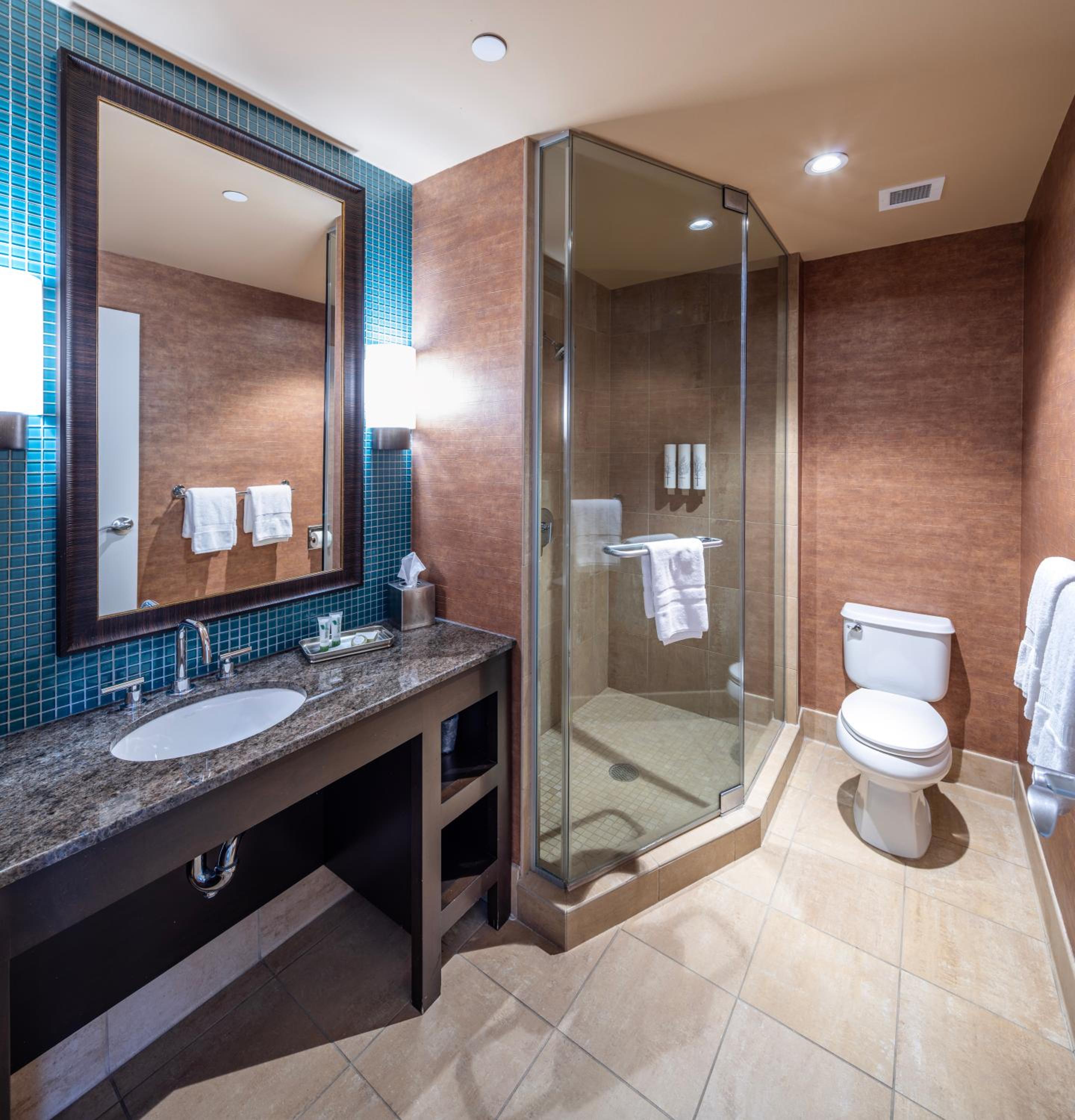 Deluxe Room photo 3