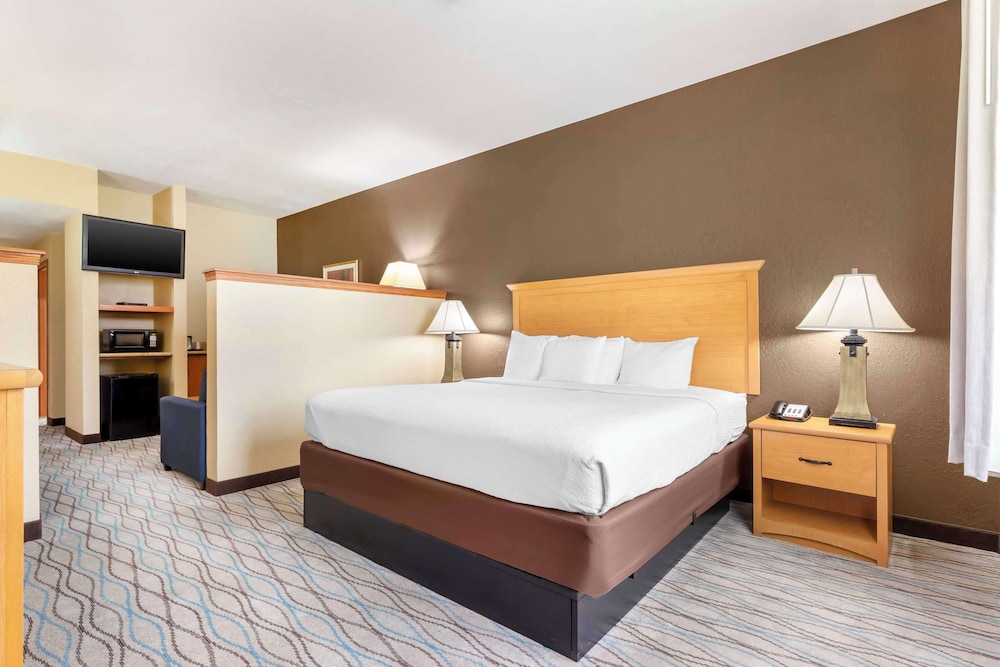 Suite, 1 King Bed with Sofa bed, Non Smoking, Refrigerator & Microwave (with Sofabed) - Photo 1