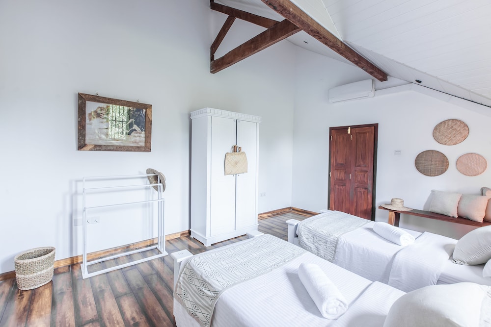 Comfort Shared Dormitory, Mixed Dorm