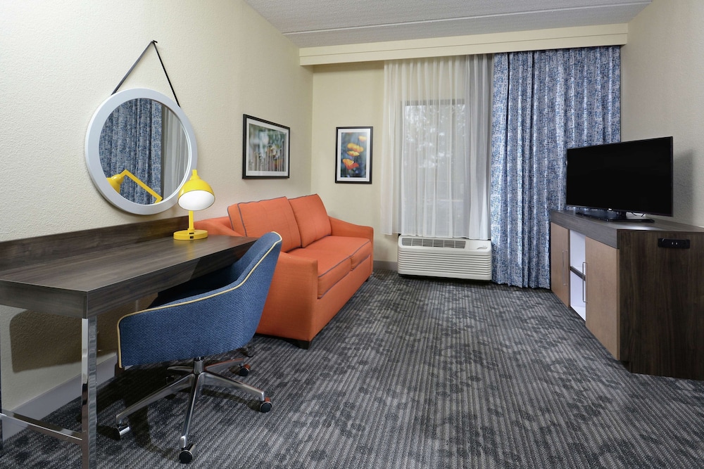 Suite, 1 King Bed, Accessible (Roll-In Shower)