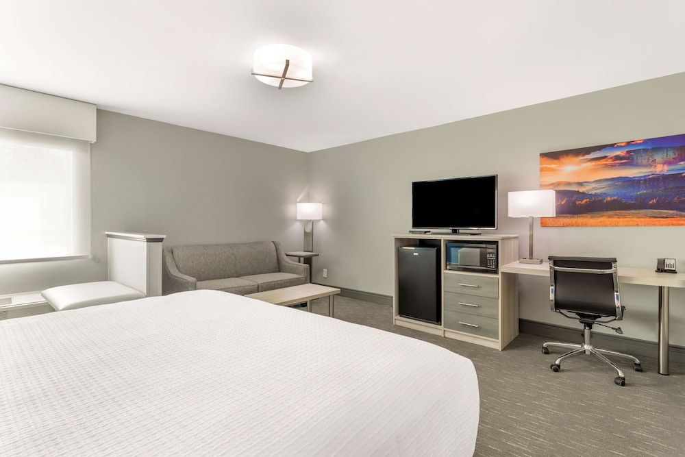 Suite, 1 King Bed, Non Smoking, Refrigerator & Microwave (with Sofabed) - Photo 2