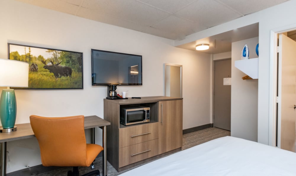 Room, Multiple Beds, Non Smoking photo 3