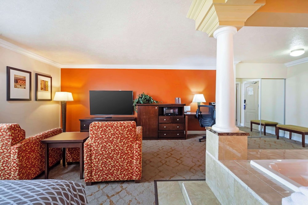 Standard Room, 1 King Bed, Non Smoking, Jetted Tub (No Pets in room type) - Photo 3