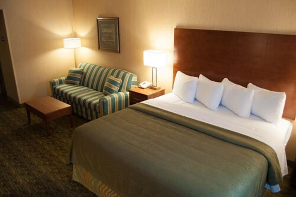 Standard Room, 1 King Bed with Sofa bed, Non Smoking (No Pets) photo 1