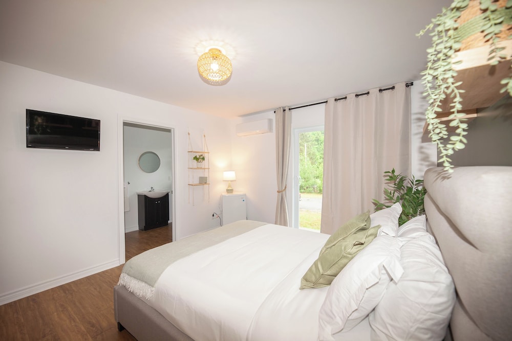 Standard Single Room, 1 Queen Bed, Patio, River View photo 2