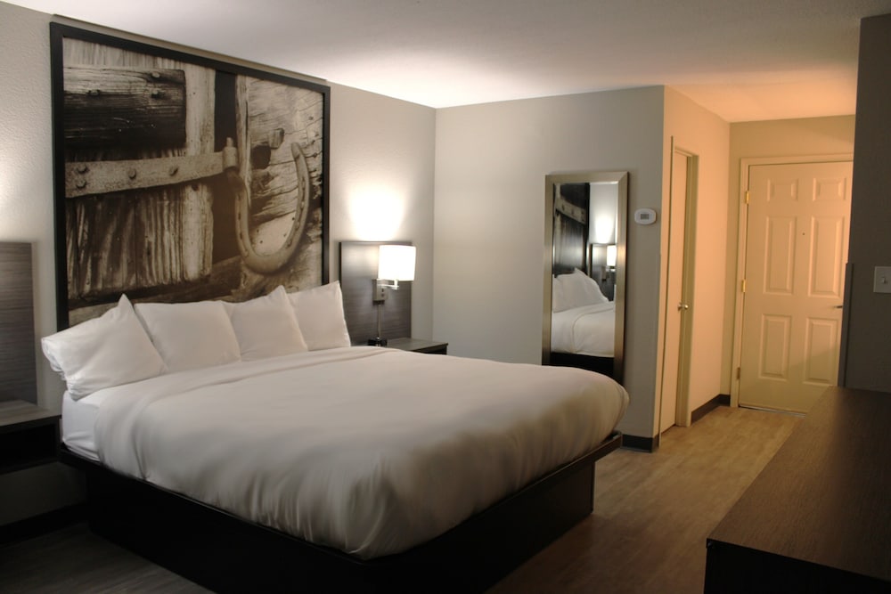 Single Room, 1 King Bed, Non Smoking (Guestroom) - Photo 4