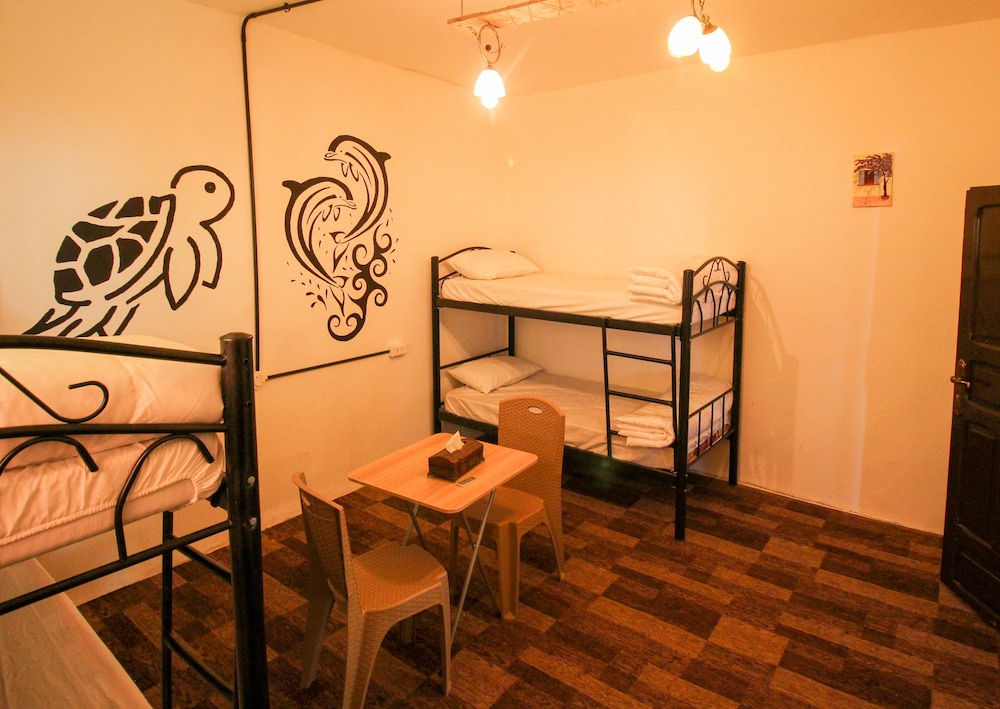 Economy Shared Dormitory photo 3